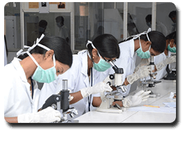 B Pharmacy Colleges in Bangalore Karnataka management quota admission